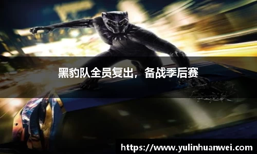黑豹队全员复出，备战季后赛