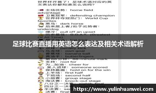  欧亿体育官网入口