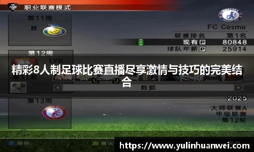 精彩8人制足球比赛直播尽享激情与技巧的完美结合
