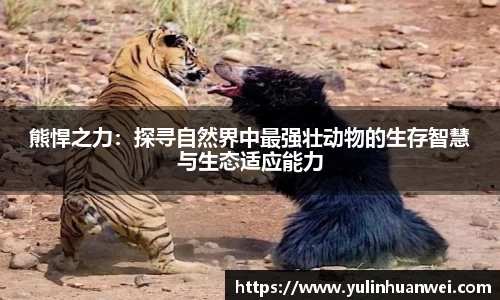 熊悍之力：探寻自然界中最强壮动物的生存智慧与生态适应能力